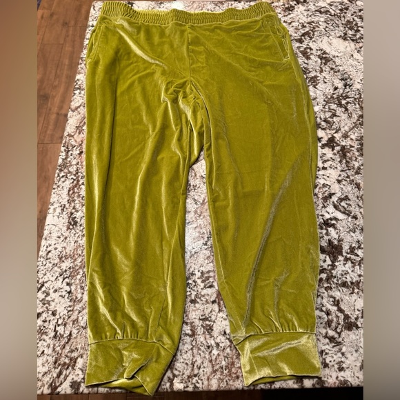 Fabletics 2X Velvet Jogger 💚 - Picture 2 of 8